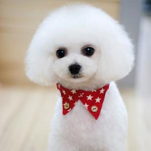 スポットを飾るペットの犬のネクタイ襟の紐でネイルキャッチャー赤｜stk-shop