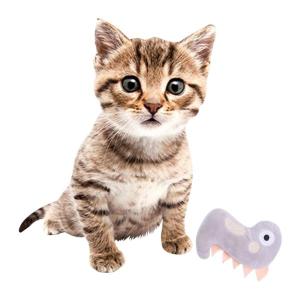 猫 蛇 おもちゃの商品一覧 通販 Yahoo ショッピング