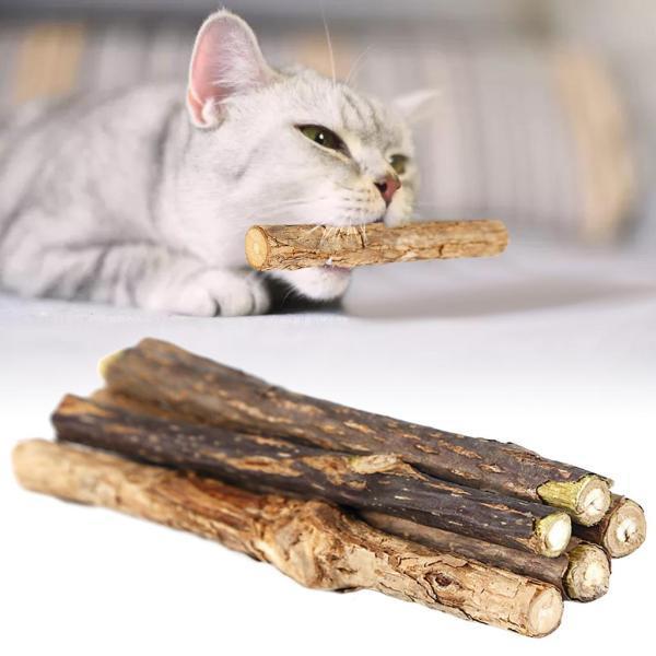 5個のキャットニップシルバーバインスティック天然歯磨き粉マタタビポリガマ猫のおもちゃ