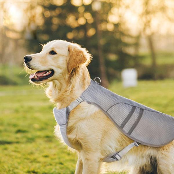 キャンプウォーキングサマーXL用に調整可能な犬用冷却ベストペット用冷却コート