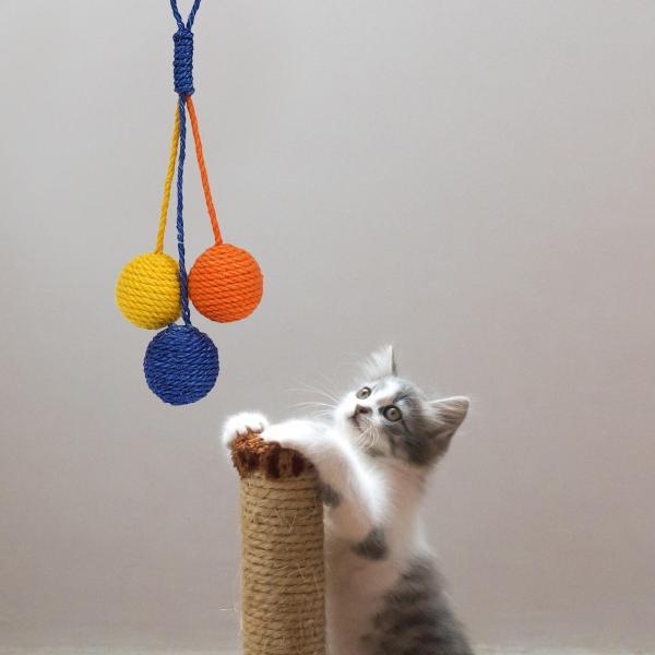 猫のおもちゃのボール、耐久性のあるキャッチャー ティーザー サイザル スクラッチ インタラクティブ ...