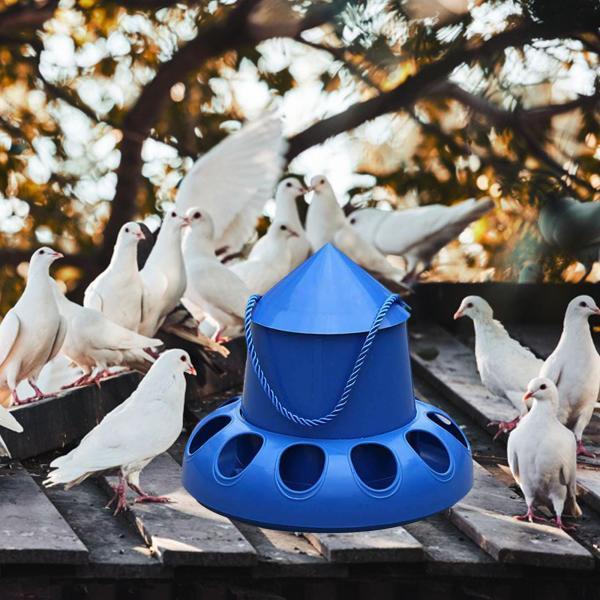 ガチョウのウズラのための鶏の餌箱の自動鳥の餌やりバケツ ボウルの裏庭