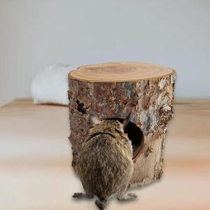木製ハムスタートンネル、小動物の隠れ家、チンチラフェレットハリネズミ用ケージアクセサリー｜stk-shop