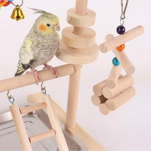オウムの鳥の遊び場 オカメインコ 小型インコ ...の詳細画像3