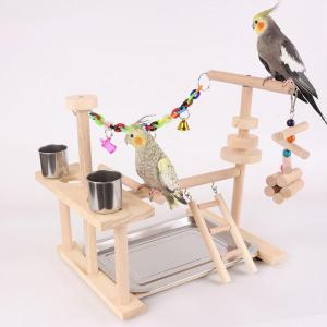 オウムの鳥の遊び場 オカメインコ 小型インコ ...の詳細画像5