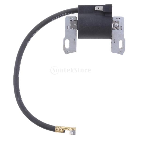 Briggs &amp;amp;amp;amp; Stratton 495859 491312 49...