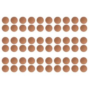 30 胸カバー プロテクター ステッカー パッチ ハイド ガード ダークスキン