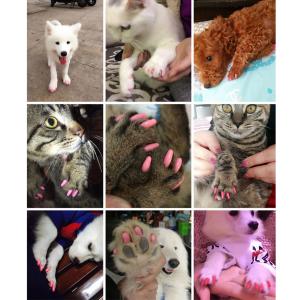 猫 爪 キャップの商品一覧 通販 Yahoo ショッピング