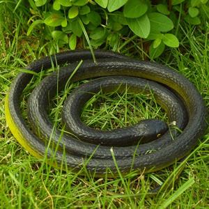 120cmリアルな偽のシミュレーションゴムヘビ...の詳細画像1