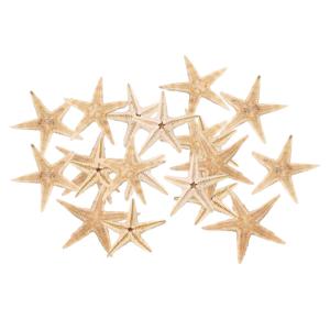 自然なヒトデの貝殻の結婚式の表示工芸品の水族館の装飾の詳細画像1