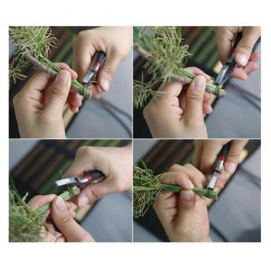 花屋DIYブーケ小枝茎手工芸品素材用100xフ...の詳細画像1