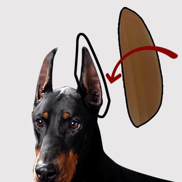 犬用品子犬の耳のケアツール耳スタンドアップステッカー犬の耳スタンドドーベルマンアシストの固定サポート...