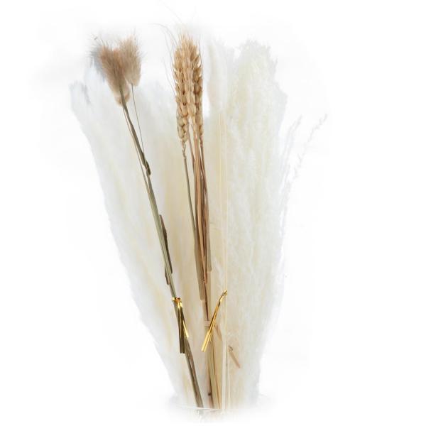 30 個本物の乾燥ススキの花束 Phragmites 葦の花植物フラワーアレンジメントの装飾リビング...