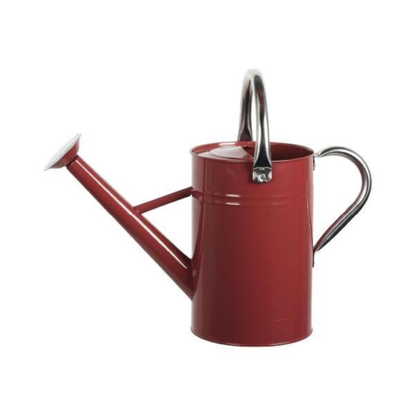 取り外し可能な注ぎ口と漏れ防止装飾を備えた屋外と屋内の植物用の金属製じょうろ。錆びにくく頑丈な構造。...