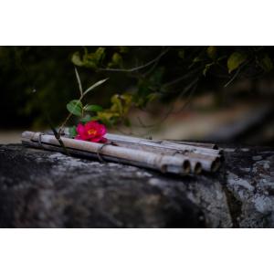 TTArtisan 50mm f/1.2 C ...の詳細画像5
