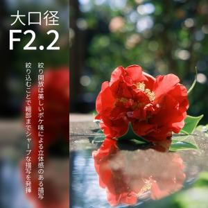 SG-image AF 35mm F2.2 F...の詳細画像4