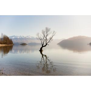 TTArtisan AF 40mm f/2 ソ...の詳細画像5