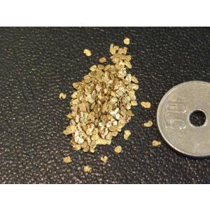 カナダ産の天然砂金ですの詳細画像1