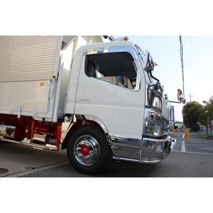 キャンター サブタンク ブルーテック ステンレスアート G1 鏡面 カバー