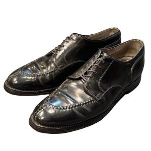 ALDEN 美品▽ALDEN オールデン 9751 フルブローブ ウィング