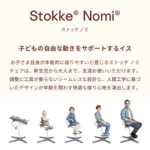 公式 ストッケ ノミ オーク ニューボーンセッ...の詳細画像1