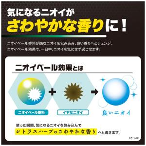 デオウ 汗臭・ベタツキ・加齢臭 超徹底吸着除去...の詳細画像4