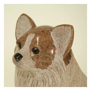 パピヨンの詳細画像1