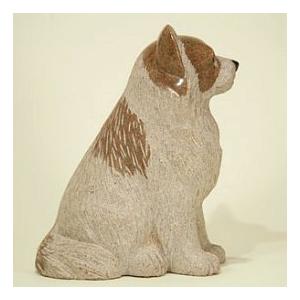 パピヨンの詳細画像2