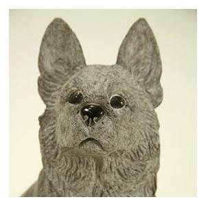 ジャーマン・シェパード・ドッグの詳細画像1