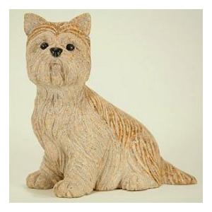 ヨークシャ・テリア