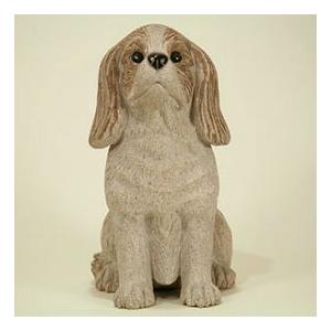 キャバリア・キング・チャールズ・スパニエル