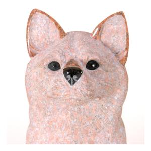 柴犬の詳細画像1