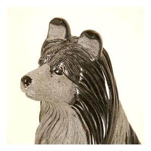 シェットランド・シープドッグの詳細画像1