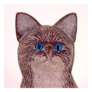 ネコ・短毛タイプC (日本猫)の詳細画像1