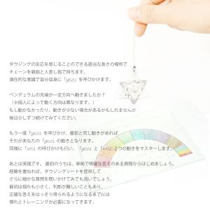 天然石 パワーストーン マルカバスター ペンデ...の詳細画像2