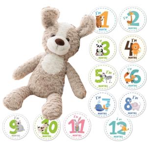 値下げ！【入手困難】ビーニーベイビーズ★セット BEANIE BABIES ビーニーベイビーズ セット♩ - メルカリ