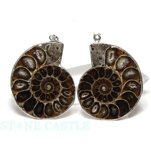 天然アンモナイト アンモライト 化石 標本 マダガスカル ディスク 円盤