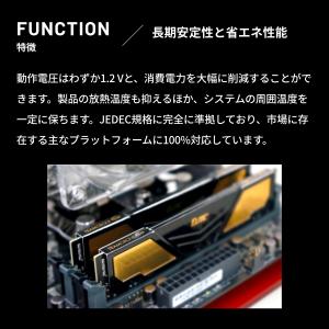 国内永久保証 TEAM ELITE PLUS ...の詳細画像1