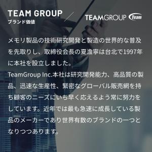 国内永久保証 TEAM ELITE PLUS ...の詳細画像2