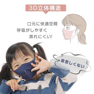 日本製 3dマスク バイカラーマスク 花粉対策...の詳細画像3