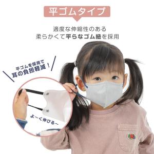 日本製 3dマスク バイカラーマスク 花粉対策...の詳細画像4