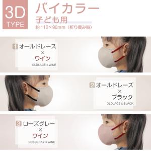 日本製 3dマスク バイカラーマスク 花粉対策...の詳細画像5