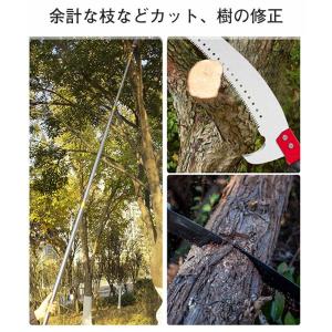 送料無料 高枝切りバサミ 高枝切鋏 5段伸縮式...の詳細画像3