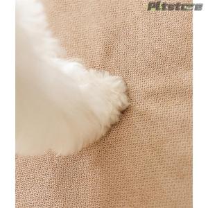 pltstoreペットステップ ドッグステップ...の詳細画像3