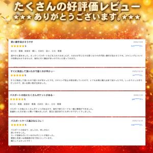 パスポートケース パスポートカバー スキミング...の詳細画像3