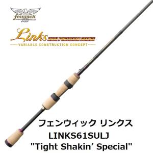 フェンウィック リンクス LINKS62SLP+J : センターフィールド - 通販