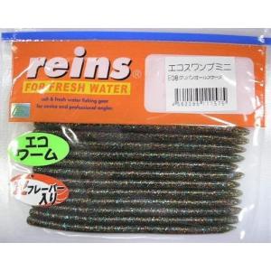 reins / レインズ エコスワンプ（Feco認定） : センターフィールド