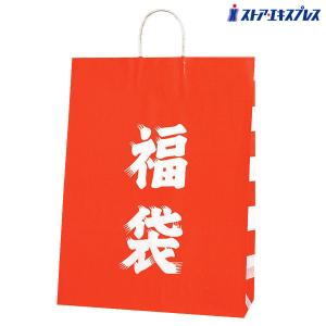 ストア・エキスプレス ラッピング 袋 紙袋 手提げ_【50枚入り】福袋