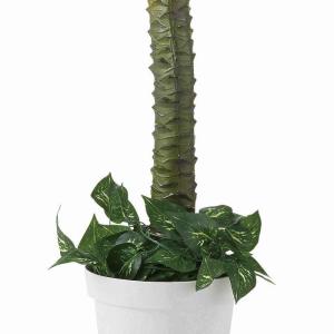 フェイクグリーン 観葉植物 フェイク 人工観葉...の詳細画像5