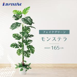 イケア（IKEA） 人工観葉植物 室内/屋外用/ベンジャミン 23cm